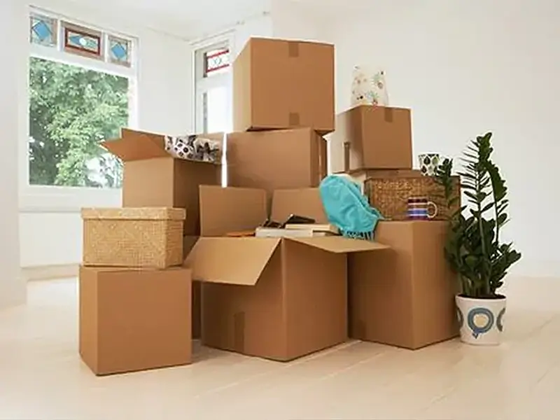 Einzugsreinigung